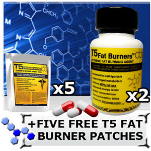 T5 FAT BUENER